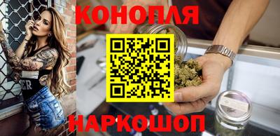 apvp Моздок