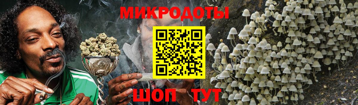 Псилоцибиновые грибы мухоморы  Вход с VPN  Спасск-Дальний  где найти наркотики  Псилоцибиновые грибы GOLDEN TEACHER 